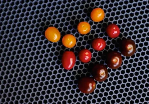 Close-up of cherry tomatoes on a black background Stock Photos