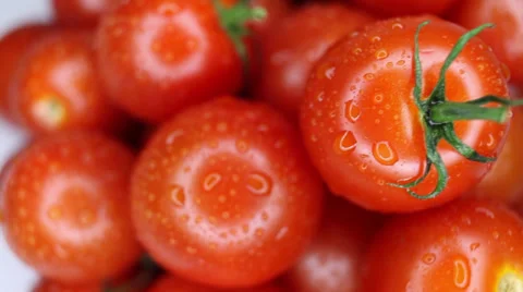 Close-up of cherry tomatoes Video stock 35106358