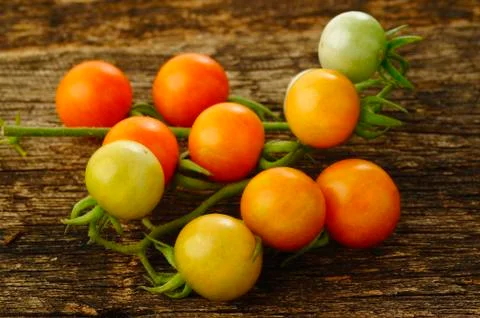 Close up of cherry tomatoes Foto stock