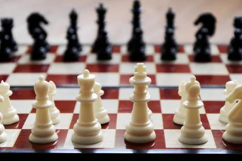Close-up of chess pieces placed on chessboard at beginning of the game. Conce Stock Photos