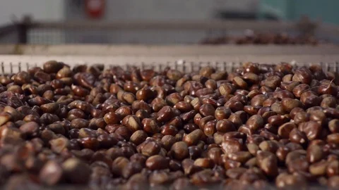 Close up of chestnuts in basket falling in slow motion, Portugal Stock Footage 128961337
