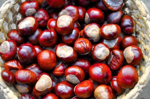 Close up of chestnuts in the basket Stock Photos