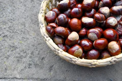 Close up of chestnuts in the basket Stock Photos