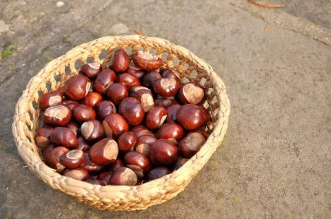 Close up of chestnuts in the basket Stock Photos