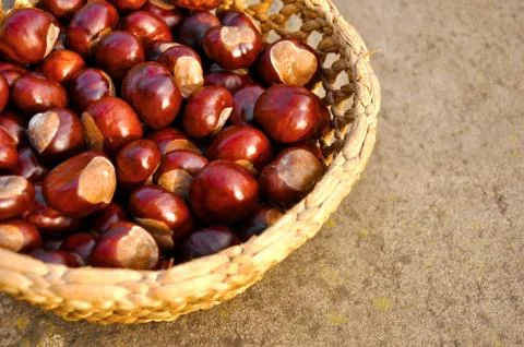 Close up of chestnuts in the basket Stock Photos