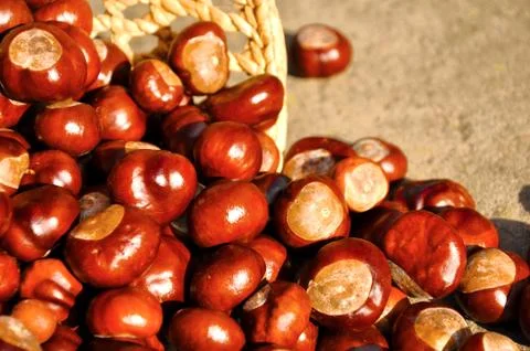 Close up of chestnuts in the basket Stock Photos