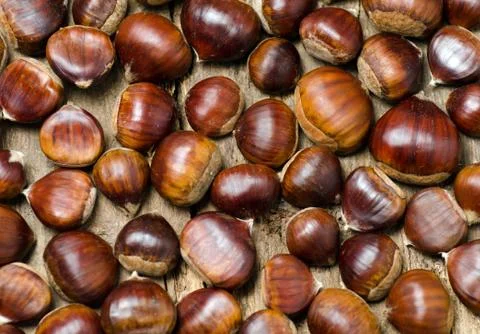 Close up of chestnuts Stock Photos
