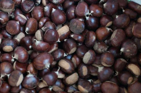 Close up of chestnuts Stock Photos