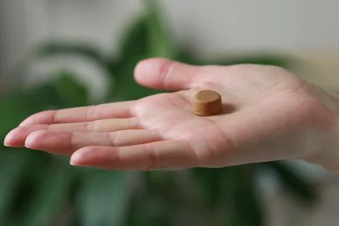 Close-up of a chewable dog or cat pill in the palm of your hand. Veterinary r Stock Photos