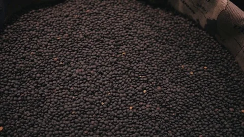 Close up chia seed as texture background on market Stock Footage 84310200