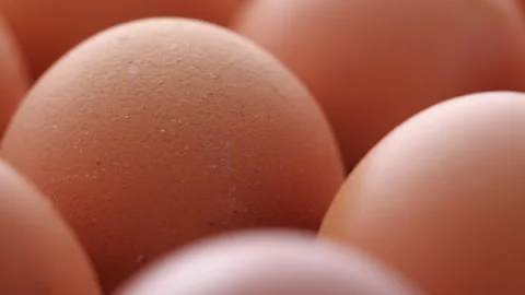 Close-up of chicken egg in container bought from the farm Stock Footage 131690943