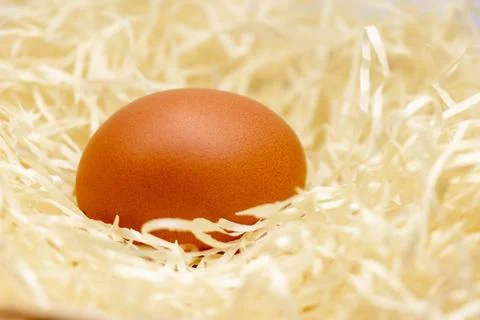 Close-up of a chicken egg lying in the straw Stock Photos
