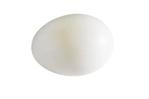Close-Up Of Chicken Egg Stock Photos