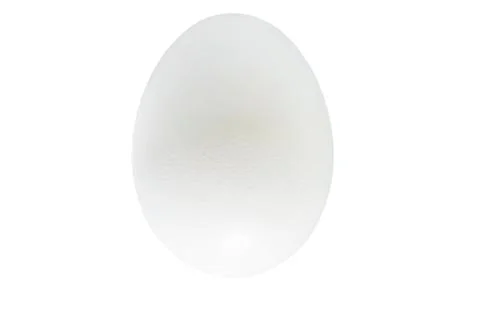 Close-up Of A Chicken Egg Stock Photos
