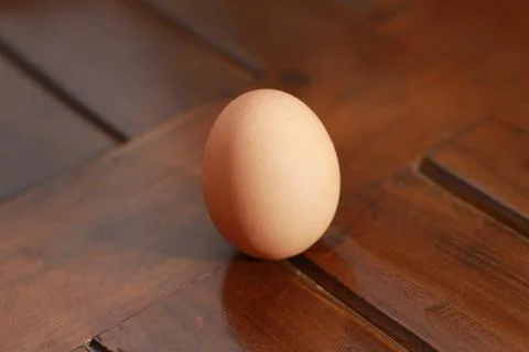 A close up of a chicken egg Stock Photos