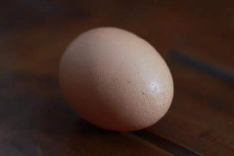 A close up of a chicken egg Stock Photos