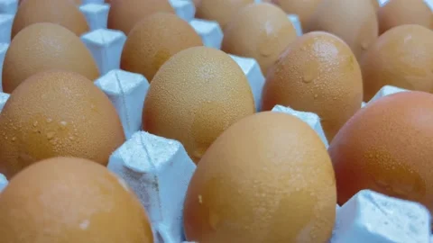 Close up chicken eggs with drops in cartoon box is rolling isolated Stock Footage 157976055