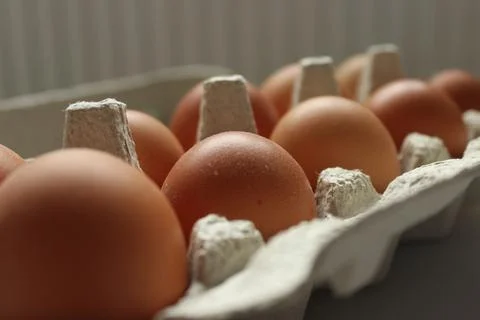 Close-up of chicken eggs in the form of Stock Photos