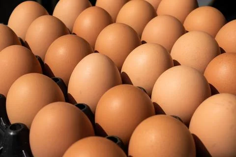 Close - up of chicken eggs in package. selective focus Stock-Fotos