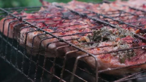 Close-up chicken with herbs roasting on coals with smoke and hot air Stock Footage 157610549