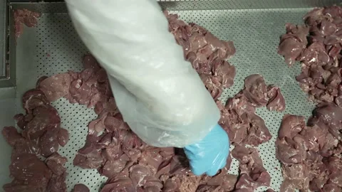 Close-up of a chicken liver on an iron table,meat processing plant, sorting Vídeo Stock 234077290