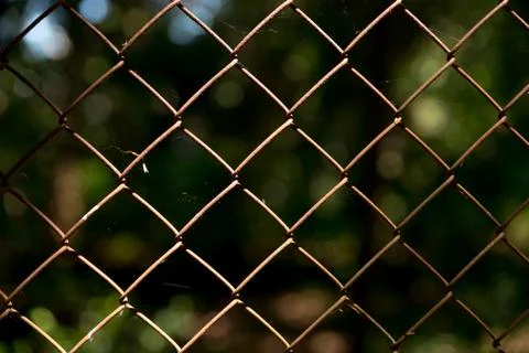 Close-up of a chicken wire with blurred background Stock Photos