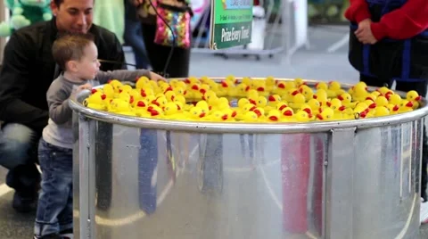Close up child catching yellow ducks float in water Stock Footage 49089785