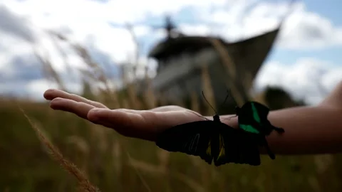 Close-up of a child hand against the background of a field and an abandoned ship Stock Footage 229081958