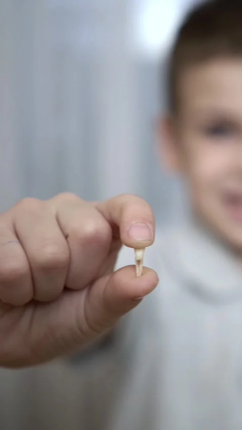 Close-up of a child hand presenting a fallen baby tooth Stock Footage 340483144