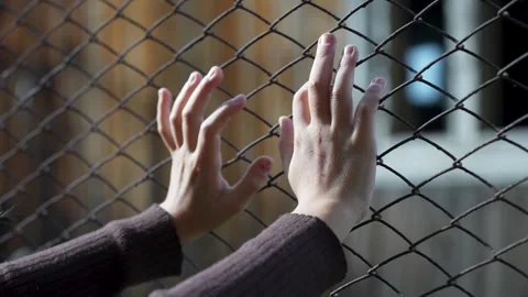 Close-up of child hands holding wire fence.  Little girl behind wire fence Stock Footage 286125465