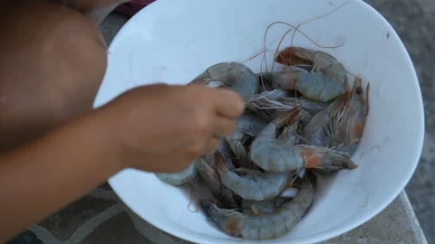 Close up child hans touching with the shrimp Vidéo 104980989