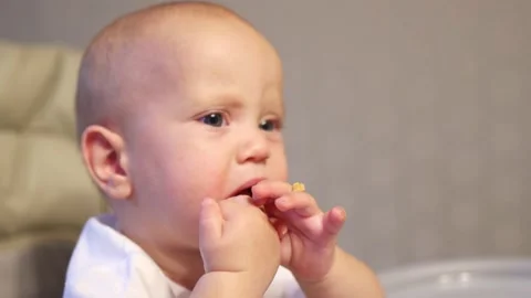 Close-up child kid feed learning chew apple piece, hard to hold in hands roll Stock Footage 237609760