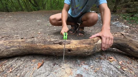 Close-up of child using a folding saw to cut a large branch outdoors. Sawing Stock Footage 316142181
