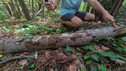 Close-up of child using a machete to chop a large branch outdoors. Chopping wood Stock Footage 316149542