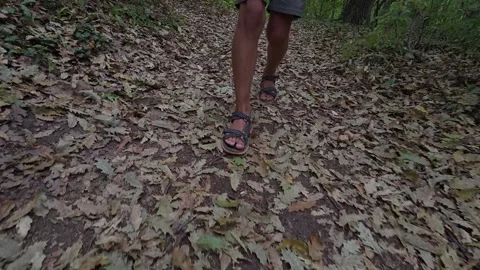 Close-up of child walking in forest trail wearing shorts and sandals. Outdoor Stock Footage 316137417