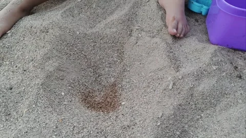 Close-up of a child's hands using a blue toy shovel to dig sand on the beach Stock Footage 341739258