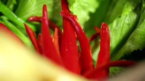 Close-up of chili peppers Stock Footage 236558574