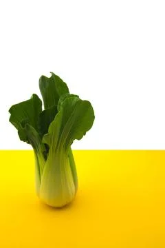 Close-up of a Chinese cabbage with copy space on yellow Stock Photos