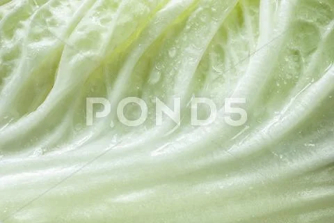 Close up of chinese cabbage Stock Photos