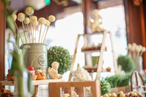 Close up of chocolatae cake pops Stock Photos