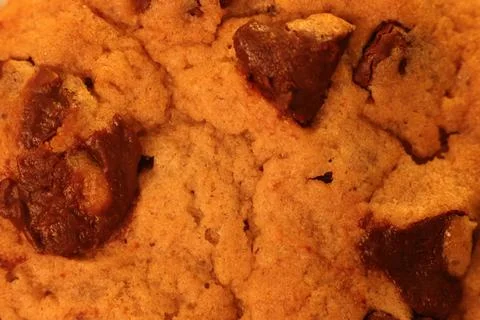 Close-up of a chocolate chip cookie Stock Photos
