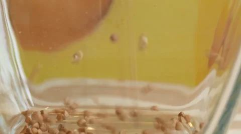 Close Up of Chocolate Chips Dropping Vidéo 58679604