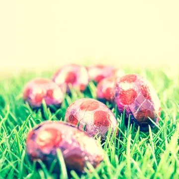 Close-up of chocolate egg Stock Photos