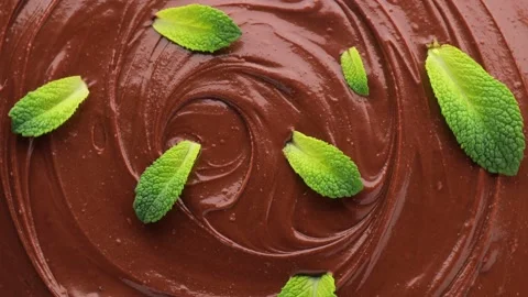 Close up of chocolate mint, rotation in circle. fresh green mint leaves Stock Footage 233901414