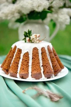Close-up chocolate pound cake. Stock Photos