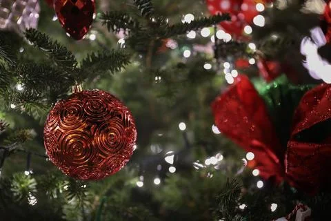 Close up of Christmas Decor on tree. Stock Photos