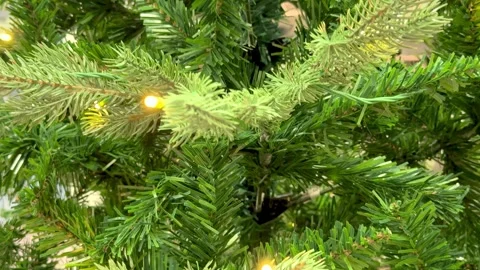 Close up of Christmas decorations. Green branches of fir tree with garland .. Stock Footage 322509523