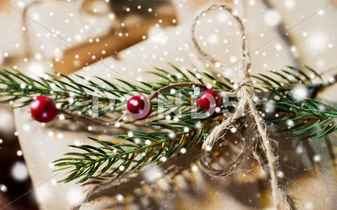Close up of christmas gift with fir brunch Stock Photos
