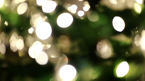 Close-up of christmas lights hanging on tree Stock Footage 99499383