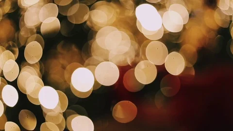 Close-up of christmas lights hanging on tree Stock Footage 99499393